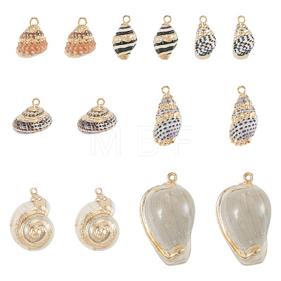 14Pcs 7 Styles Electroplated Natural Mixed Shell Pendants BSHE-TA0001-34A-1