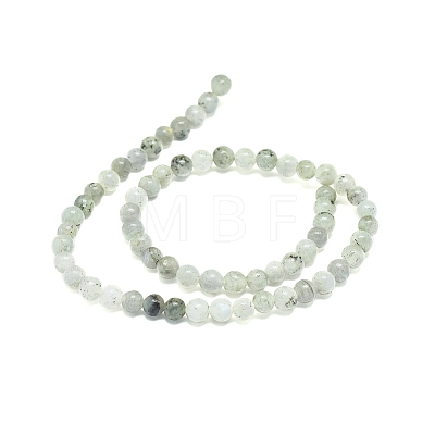Natural Labradorite Beads Strands X-G-G828-01-6mm-1