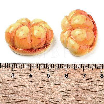 Opaque Resin Imitation Food Decoden Cabochons RESI-S405-06B-1