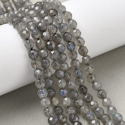 Natural Labradorite Beads Strands G-G213-4mm-03-1