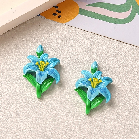 Opaque Resin Cabochons PW-WG0F442-06-1