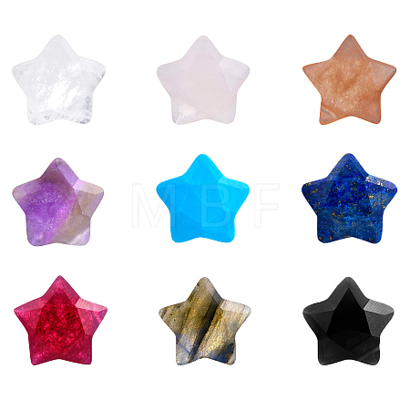 9pcs 9 style Natural Mixed Gemstone Charms G-BC0001-18-1