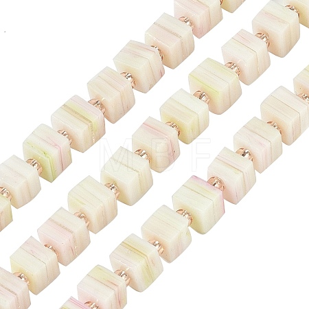 Handmade Nepalese Lampwork Beads Strands LAMP-M019-01H-1