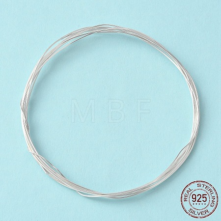 Dead Soft 925 Sterling Silver Wire STER-NH002-A-1