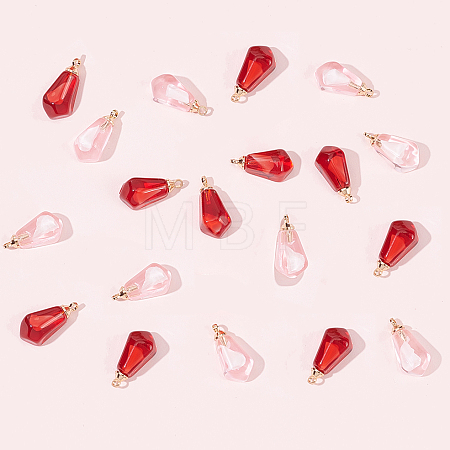 10Pcs 2 Colors Transparent Resin Pendants RESI-FP0001-40-1