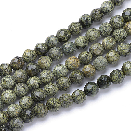 Natural Serpentine/Green Lace Stone Bead Strands X-G-R411-11-6mm-1
