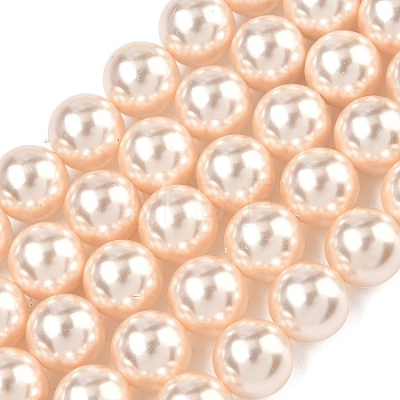 Electroplated Shell Pearl Beads Strands BSHE-G041-10mm-04-1