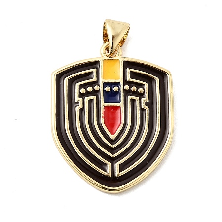Brass Enamel Pendants KK-L262-19G-1