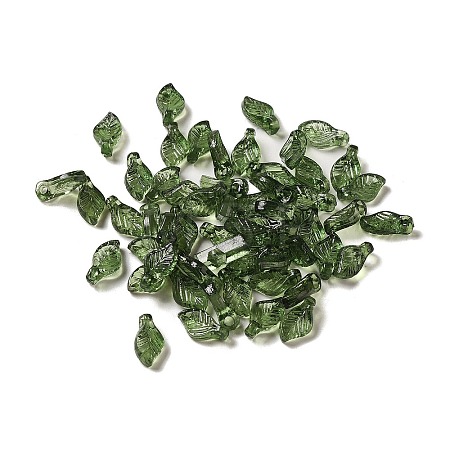 Transparent Acrylic Charms A-TACR-G041-01B-1