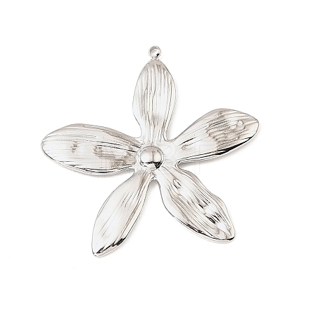 304 Stainless Steel Pendants X-STAS-Z199-12P-06-1