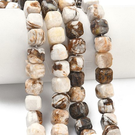 Natural Petrified Wood Beads Strands G-C267-A06-1