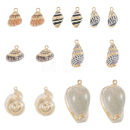 14Pcs 7 Styles Electroplated Natural Mixed Shell Pendants BSHE-TA0001-34A-1