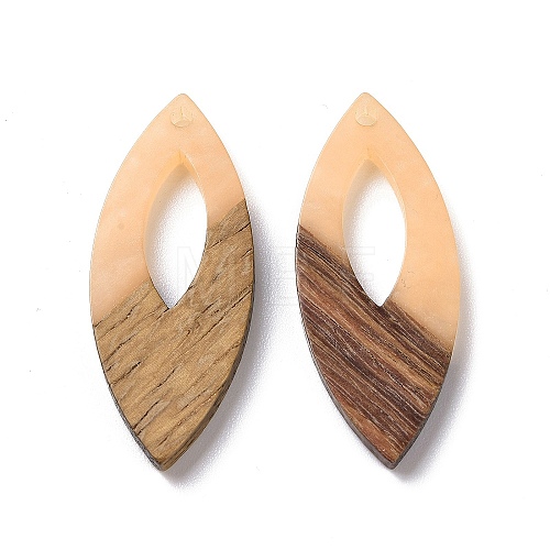 Opaque Resin & Walnut Wood Pendants RESI-N025-047B-03-1