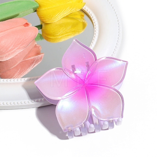 Gradient Color Plastic Claw Hair Clips PW-WG7DD1F-02-1