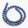 Natural Lapis Lazuli Beads Strands X-G-E489-01-8mm-2
