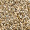 Transparent Inside Colours Glass Seed Beads X1-SEED-A032-04V-3