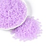 Transparent Glass Seed Beads SEED-Q041-01F-2