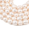 Natural Cultured Freshwater Pearl Beads Strands PEAR-F020-24C-4
