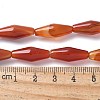 Dyed & Heated Natural Carnelian Beads Strands G-Q019-A03-4