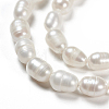 Natural Cultured Freshwater Pearl Beads Strands X-PEAR-N012-05G-3