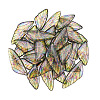 Transparent Resin Wing Pendants Set RESI-TAC0021-01A-2