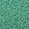 MIYUKI Delica Beads SEED-JP0008-DB2053-3