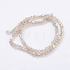 Glass Beads Strands X-EGLA-S056-09-2