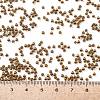 TOHO Round Seed Beads SEED-JPTR11-2152-4