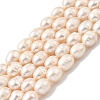 Natural Cultured Freshwater Pearl Beads Strands PEAR-I007-01F-04A-2