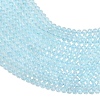 Natural Topaz Beads Strands G-Z152-D02-01-4