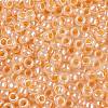 TOHO Round Seed Beads SEED-TR08-0904-2