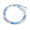 Handmade Czech Lampwork Beads Strands LAMP-L078-008M-2