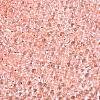 6/0 Baking Paint Transparent Fringe Glass Seed Beads X1-SEED-N006-06E-3