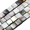 Natural Black Lip Shell Beads Strands SHEL-A006-09A-1