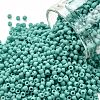 TOHO Round Seed Beads X-SEED-TR11-0055F-1