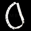 Natural Freshwater Shell Beads Strands SHEL-A006-10B-2