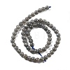Natural Labradorite Beads Strands X-G-S333-6mm-035-01-5