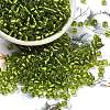 6/0 Glass Seed Beads X2-SEED-A005-4mm-24-1
