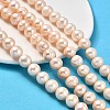 Natural Cultured Freshwater Pearl Beads Strands PEAR-I007-07T-03-1