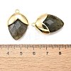 Natural Labradorite Pendants G-U019-03B-07-3