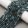 Natural Apatite Beads Strands G-A276-C08-4mm-01-1