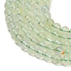 Natural Prehnite Beads Strands GG-CBA6F9F-6mm-3