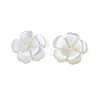 Natural Freshwater Shell Beads SHEL-N026-185-4