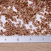 MIYUKI Delica Beads Small X-SEED-J020-DBS0170-4
