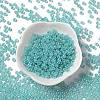 Glass Seed Beads X1-SEED-H002-E-A1419-2