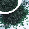 MIYUKI Round Rocailles Beads SEED-JP0008-RR0156-1
