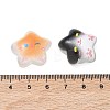 Luminous Transparent Resin Cabochons CRES-A062-01-5
