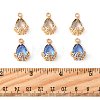 20Pcs Rhinestone Pendants FIND-FS0004-75A-5