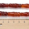 Natural Agate Beads Strands G-Z144-A02-01E-5