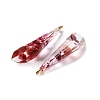 Inner Dried Flower Transparent Resin Pendants RESI-A043-08A-2